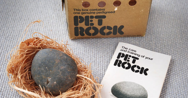 Pet Rock and Cardboard Box