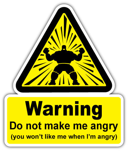 Warning Do Not Make Me Angry You Wont Like Me When Im Angry Hulk (V1)  - Printed Sticker Decal